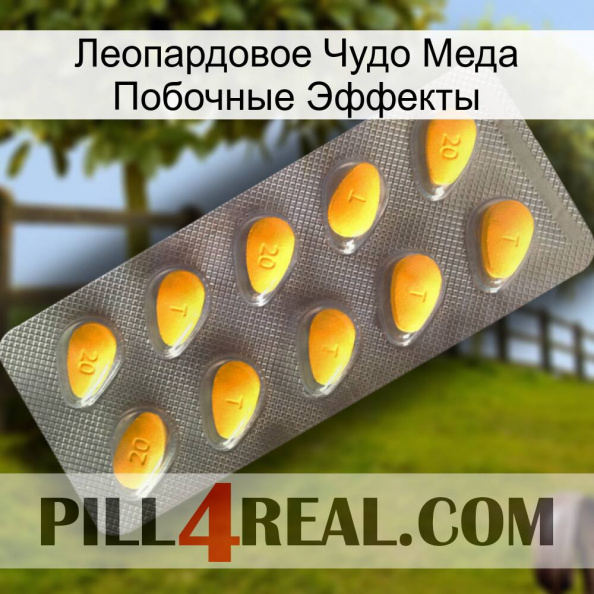 Леопардовое Чудо Меда Побочные Эффекты cialis1.jpg